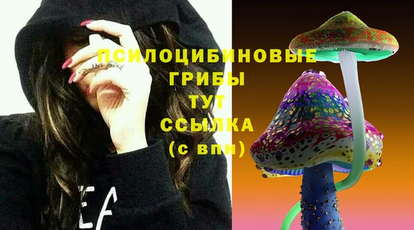 мяу мяу мука Армянск