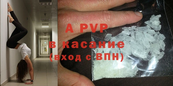 ECSTASY Семикаракорск