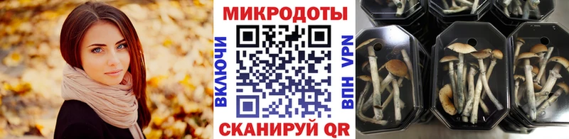 Галлюциногенные грибы мухоморы сколько стоит маркетплейс Telegram Новоульяновск